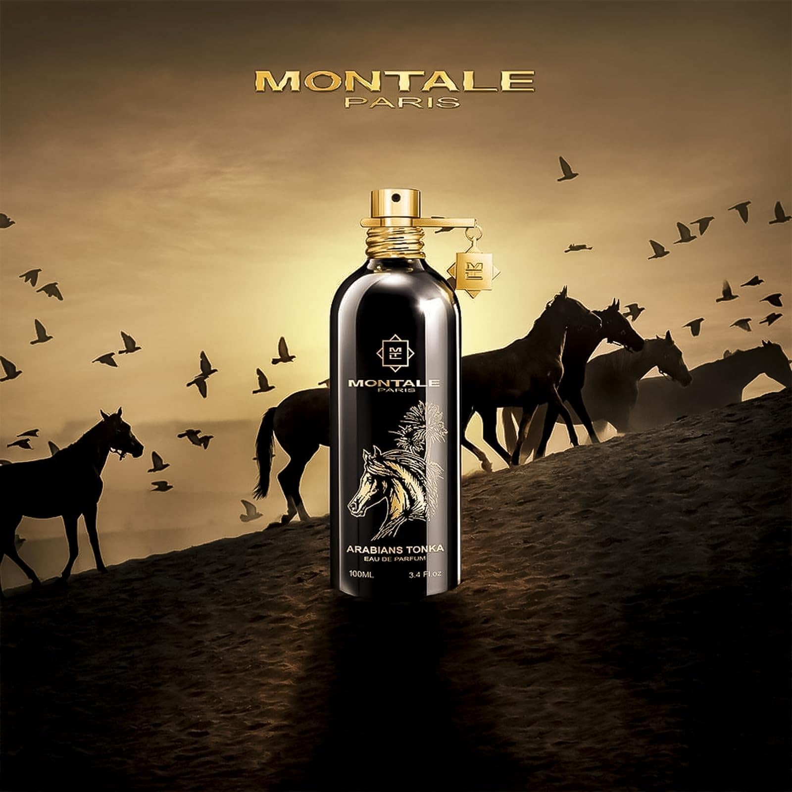 montale arabians tonka